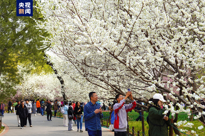 清明假期北京市屬公園及中國園林博物館游客接待量超218萬人次，景區(qū)管理成效顯著