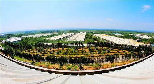 謀定后動(dòng)譜華章，氣勢(shì)如虹唱大風(fēng) 論新時(shí)代景區(qū)管理的智慧與氣魄